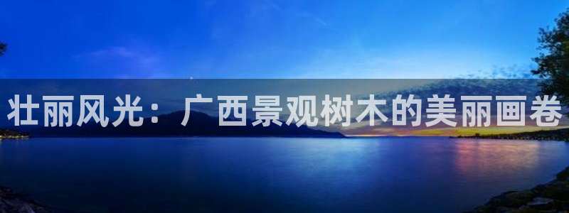 新宝GG 扣.772332
