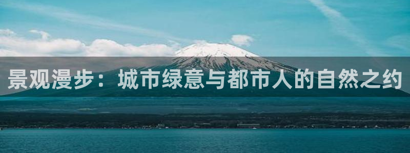 新宝gg返点1956是多少