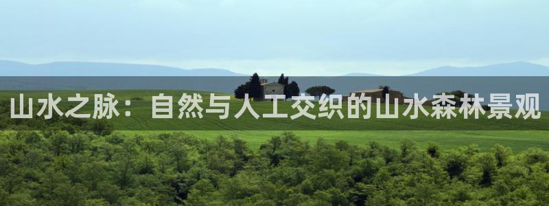 新宝gg与新宝5