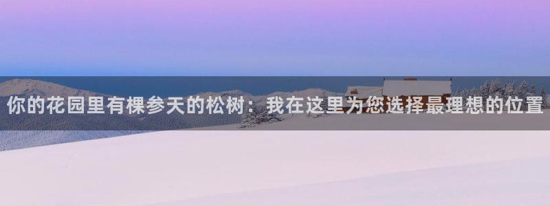 新宝 gg 登