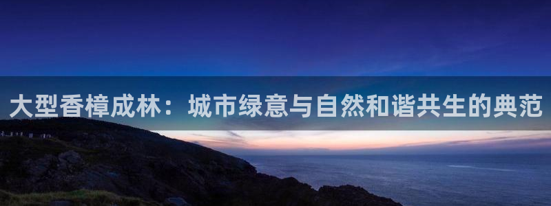 新宝GG娱乐-上皇巢网