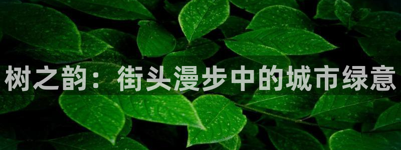 新宝gg靠谱吗