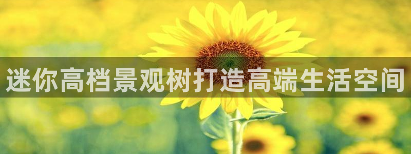 新宝gg代理条件：迷你高档景观树打造高端生活空间
