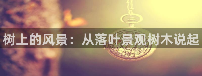 新宝gg软件下载