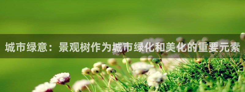 新宝gg挂机app：城市绿意：景观树作为城市绿化和美化的重要元素