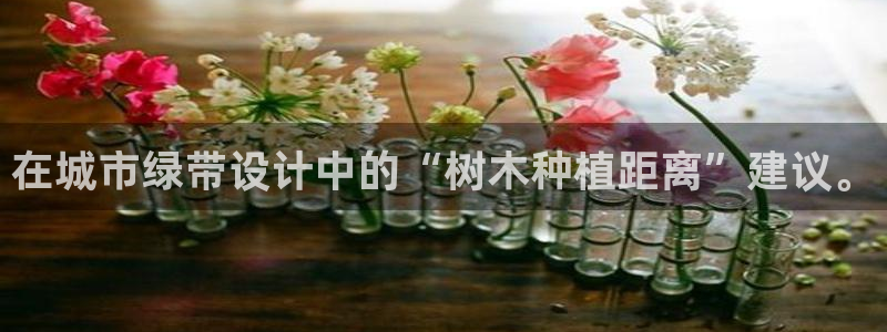 新宝gg 平台怎么样