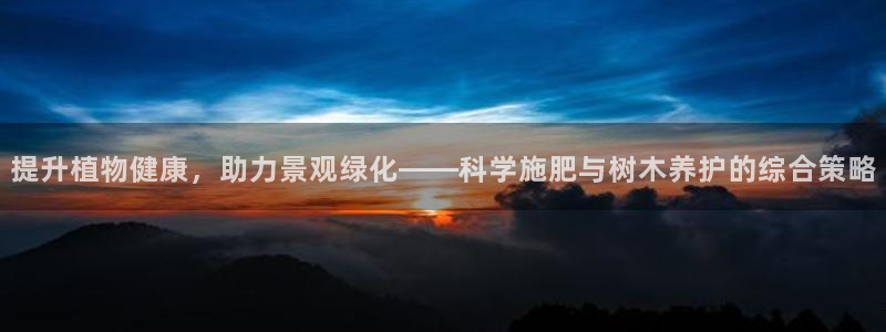 新宝gg返点1956是多少