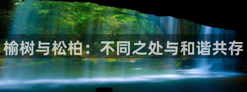 新宝gg找回账号