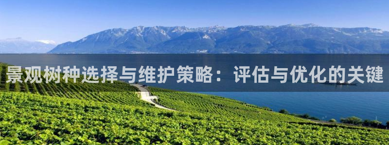 新宝gg首页平台