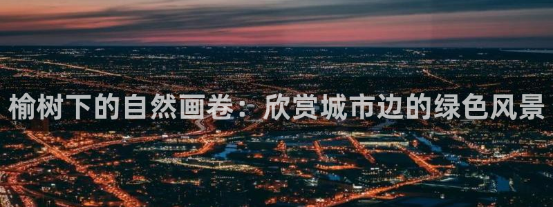 新宝gg-创业奇迹