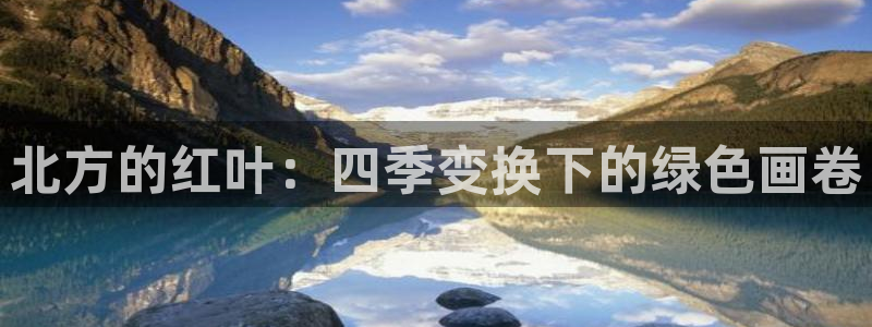 新宝gg手机助手