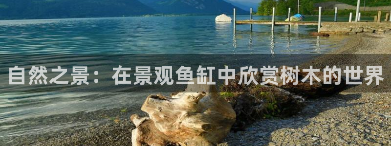 新宝GG53339咨询新宝GG