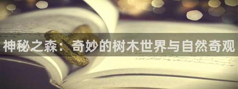 新宝gg域:神秘之森:奇妙的树木世界与自然奇观