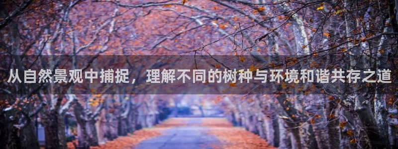 新宝GG娱乐-上皇巢网