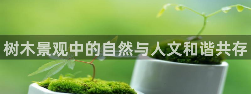 新宝gg平台开户