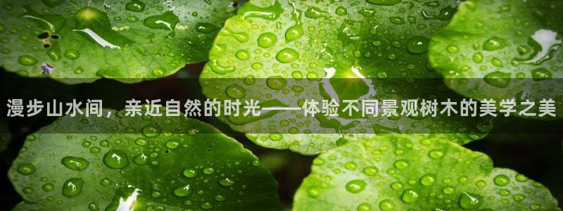 新宝gg8:漫步山水间,亲近自然的时光——体验不同景观树木的美学之美