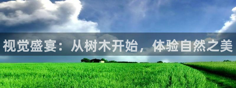 新宝gg娱乐主管q42873:视觉盛宴:从树木开始,体验自然之美