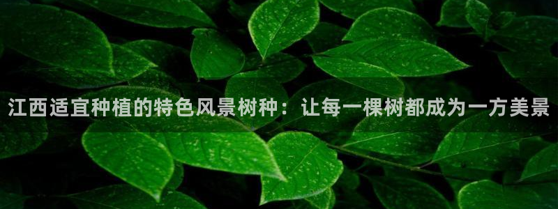 新宝gg怎么样:江西适宜种植的特色风景树种:让每一棵树都成为一方美景