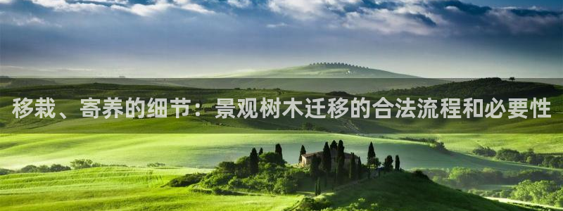 新宝gg主管都是谁