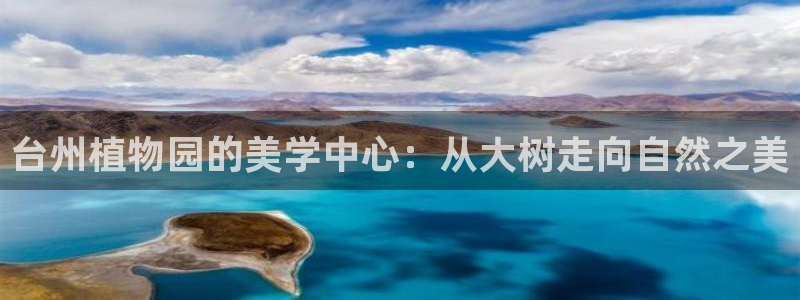 新宝gg一创造奇迹