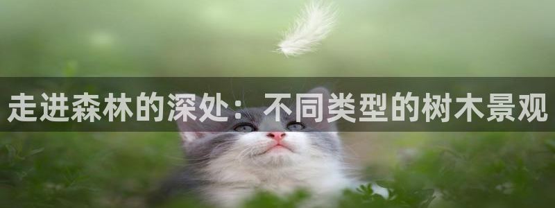 新宝gg娱乐主管q42873