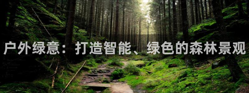 新宝gg-创业奇迹