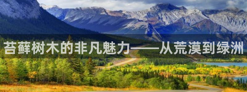 新宝gg怎么开户