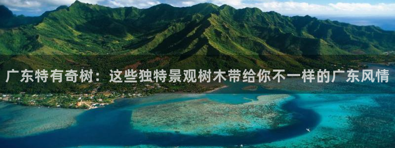新宝gg合法吗