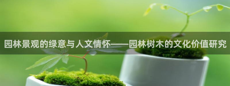 新宝gg有规律么