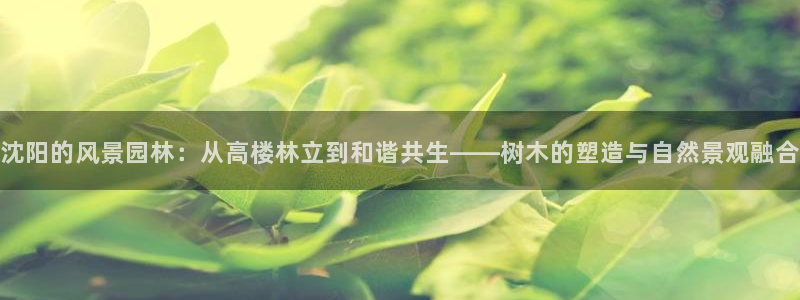 新宝 gg 总代理