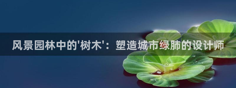 新宝彩票gg