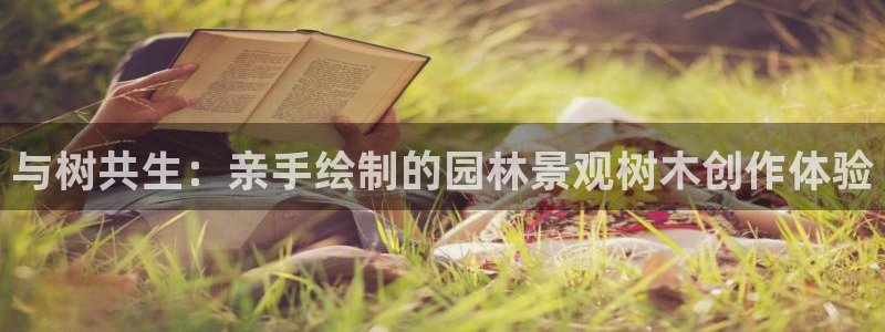新宝皇冠gg