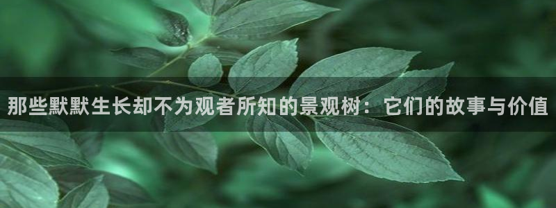 新宝奇迹GG5