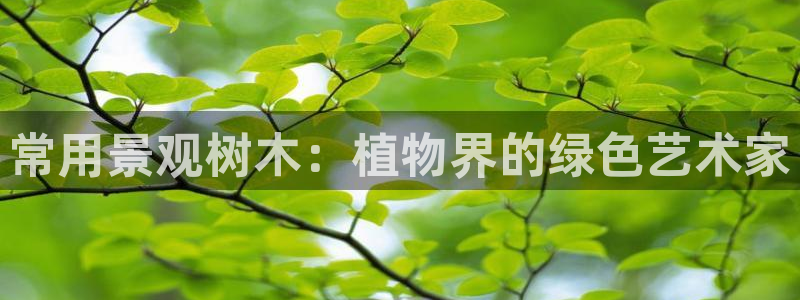 新宝gg平台开发