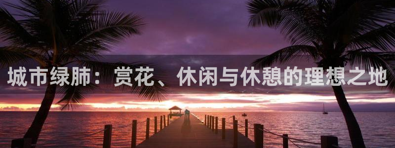 新宝GG之家