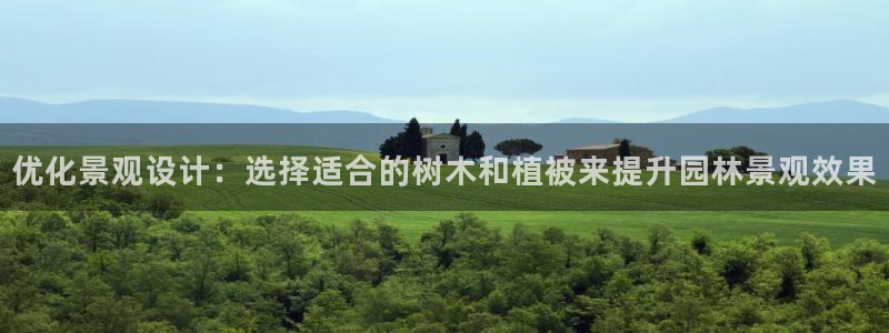 新宝gg龙腾