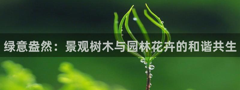 新宝gg创造奇迹