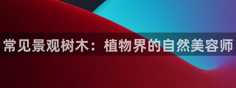 新宝gg 创造