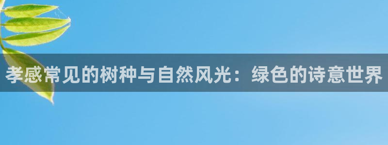 新宝gg娱乐首页