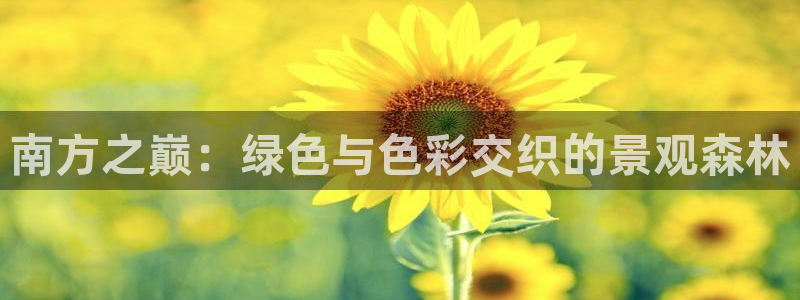 新宝GG之家