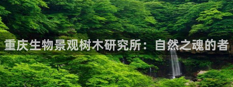 新宝gg如何代理