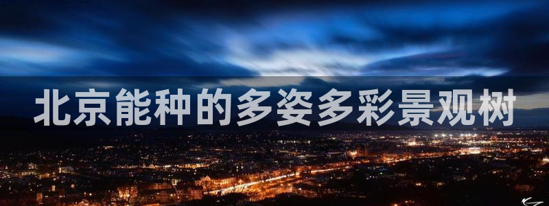 新宝gg娱乐上皇巢网