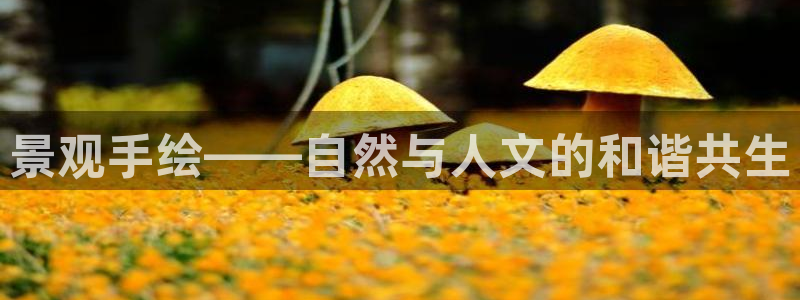 新宝GG手机客户端