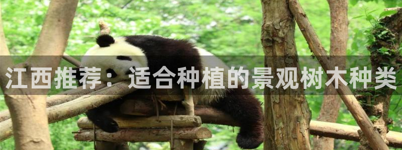 新宝6娱乐新宝gg