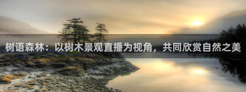 新宝gg软件下载