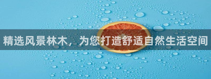 新宝gg娱乐上皇巢网:精选风景林木,为您打造舒适自然生活空间