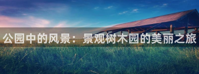 新宝gg主管 9：公园中的风景：景观树木园的美丽之旅