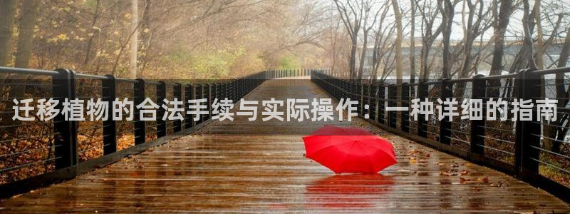 广东新宝电器gg