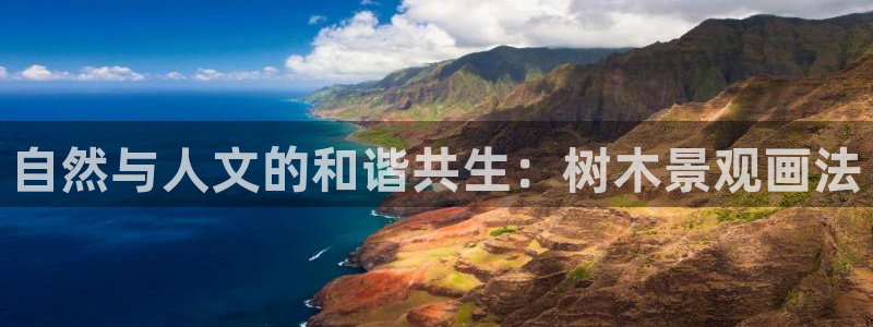 新宝gg下载官网下载