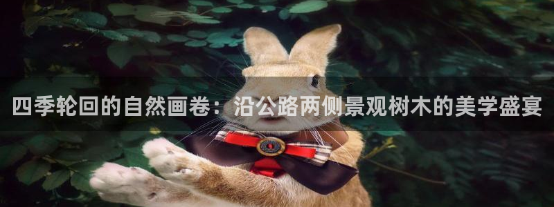 新宝哥gg